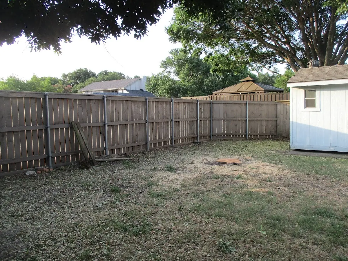 Cleared yard after professional tree removal in Bogota